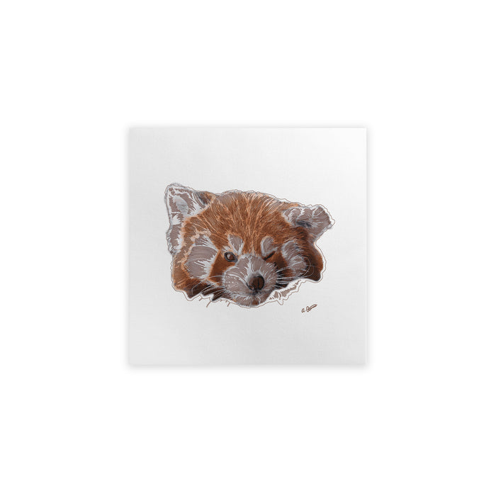 Illustration of a red panda on a white background
