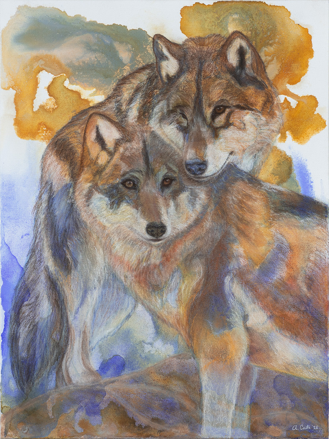 Painting of two wolves standing together, rendered in earthy browns, grays, and white with blue and orange watercolor washes in the background.