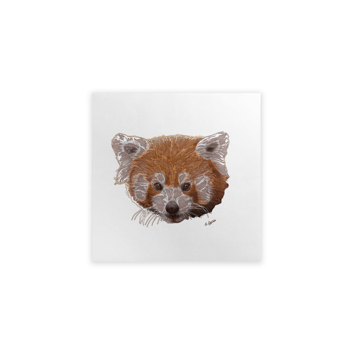 Red panda illustration on a white background