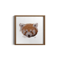 Framed artwork of a red panda on a white background