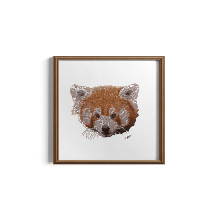Framed artwork of a red panda on a white background