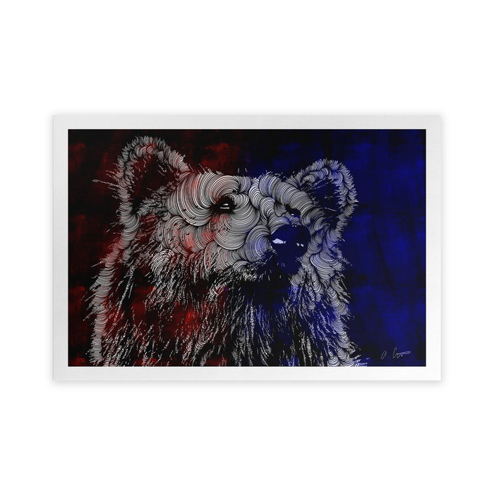 Artwork of a bear with a red, white and blue color scheme. 