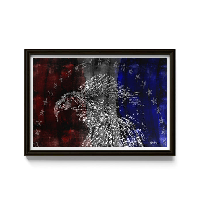 Framed artwork of an eagle with stars in the background