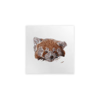 Illustration of a red panda on a white background