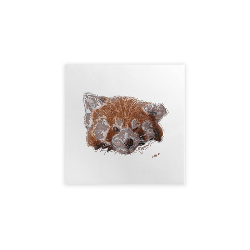 Illustration of a red panda on a white background