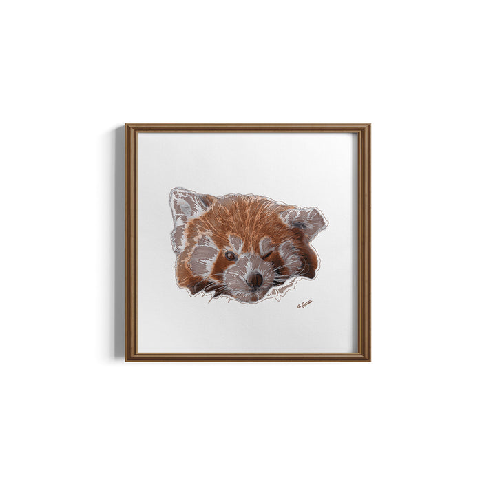 Framed artwork of a red panda on a white background