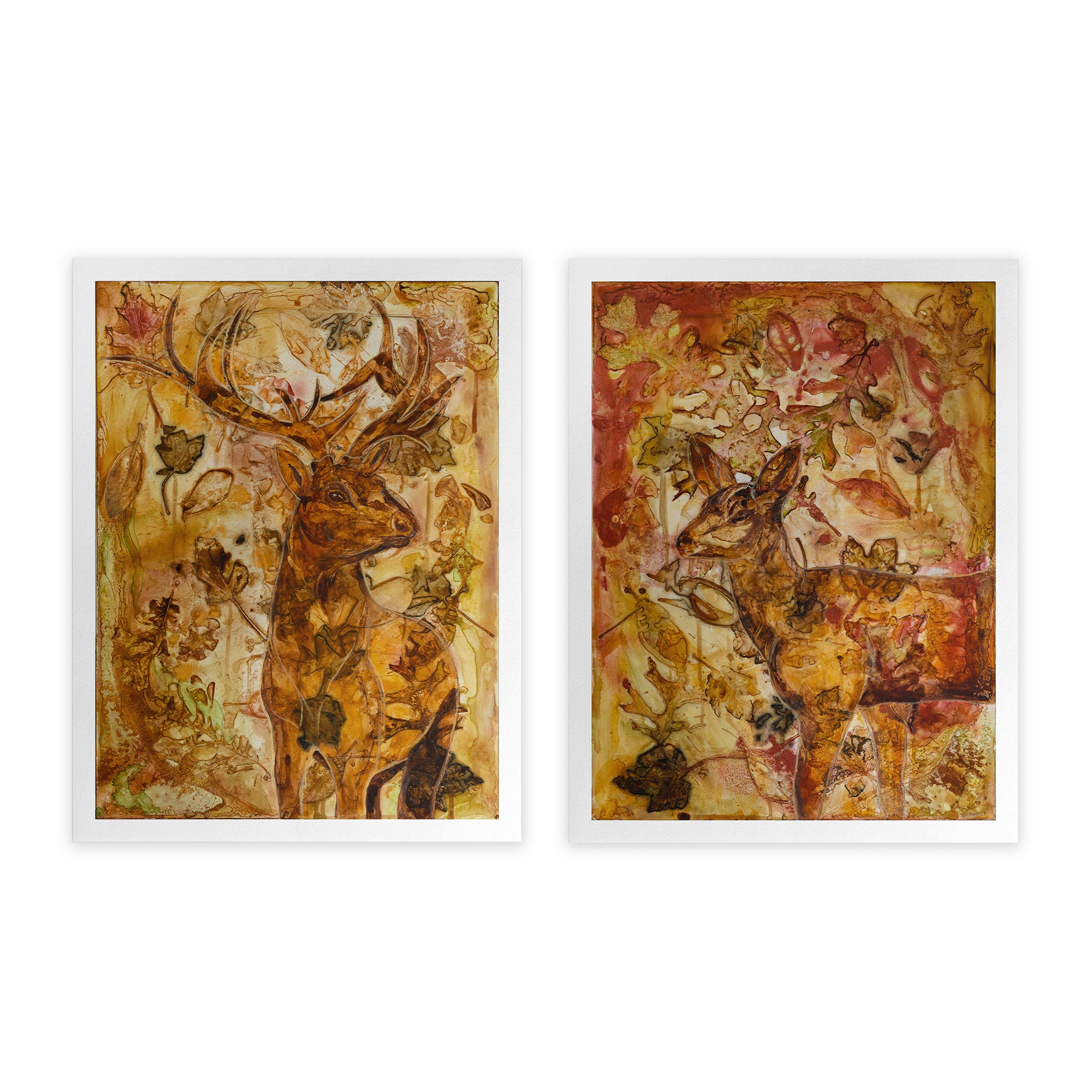 Doe Leaves of the Herd – Deer Fine Art Print – Alexandra Castle Art