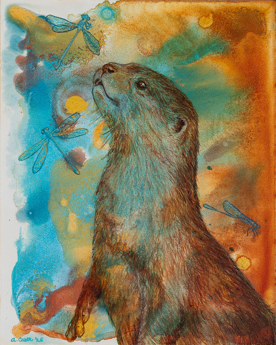 Watercolor and pastel artwork of an otter looking upward, with dragonflies and a warm orange-blue background.