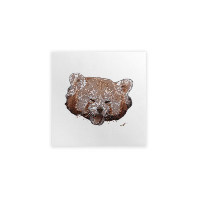 Illustration of a red panda face on a white background