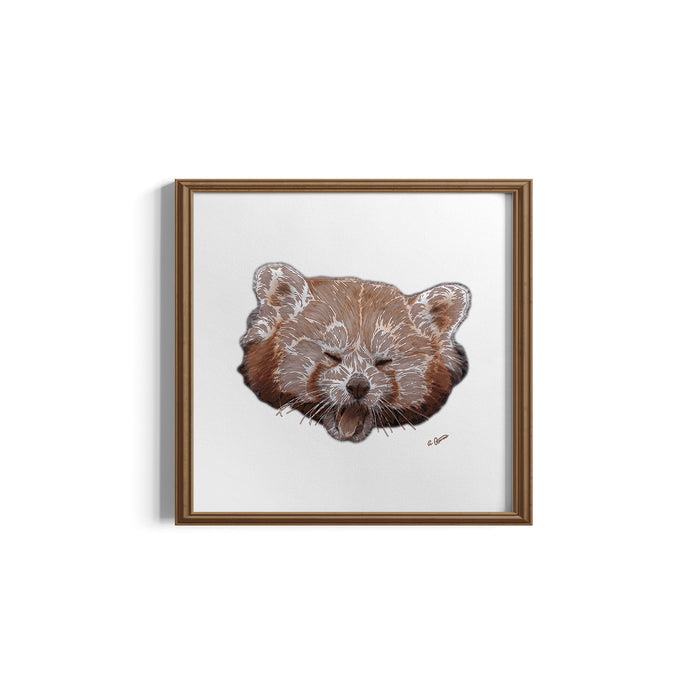 Framed artwork of a red panda face on a white background